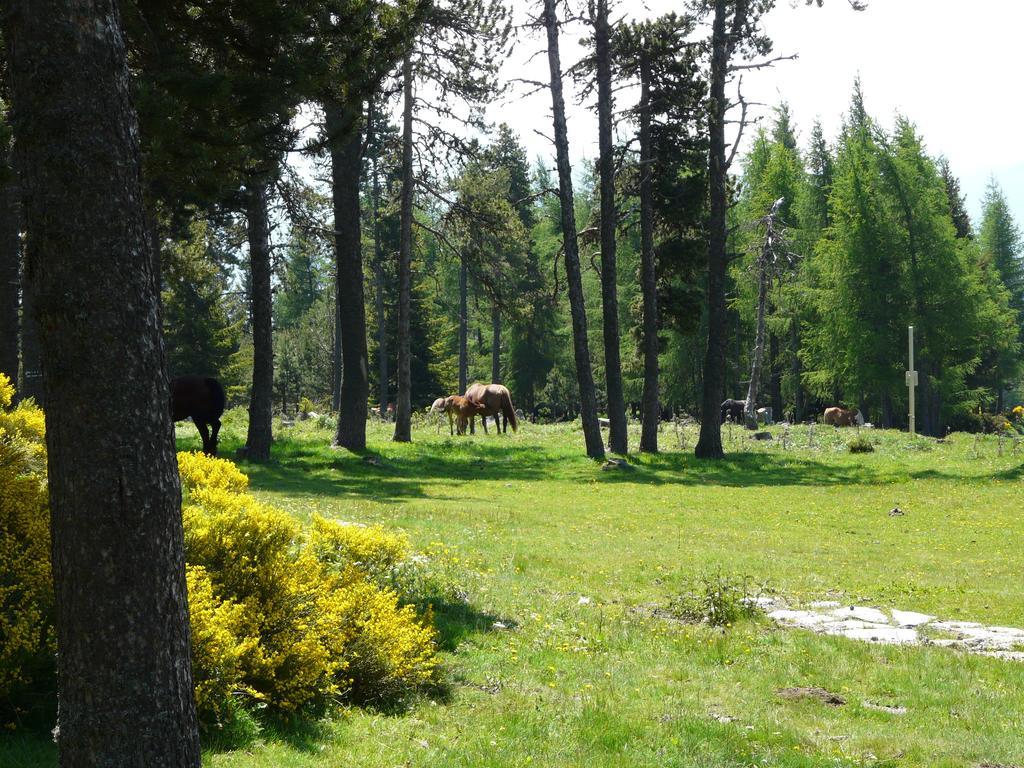 Apartament Font Romeu Via Pokój zdjęcie